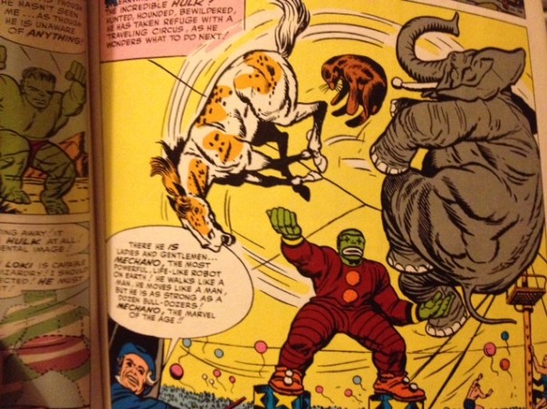 The elephant looks like he's having fun.