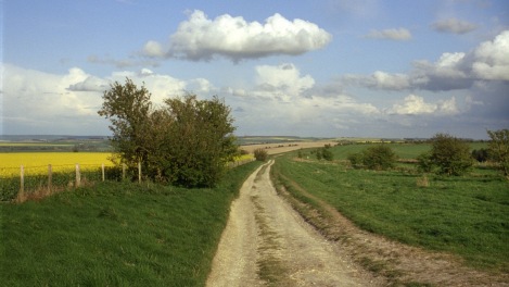Robinson in Ruins still 3