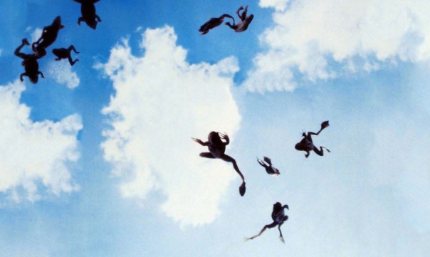 Frogs-falling-from-the-sky-magnolia-31608118-1338-801