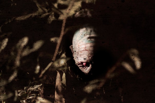 Digging Up The Marrow