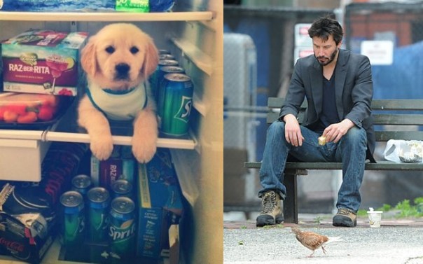 sadkeanu