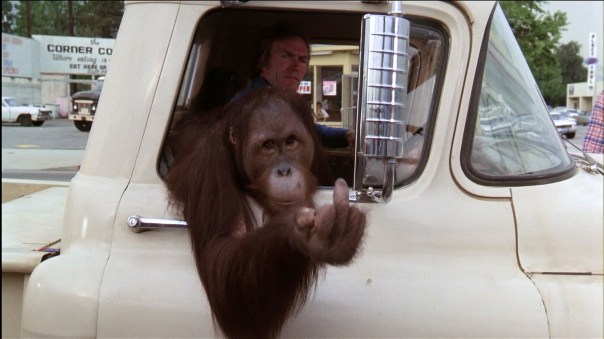 every-which-way-but-loose-original